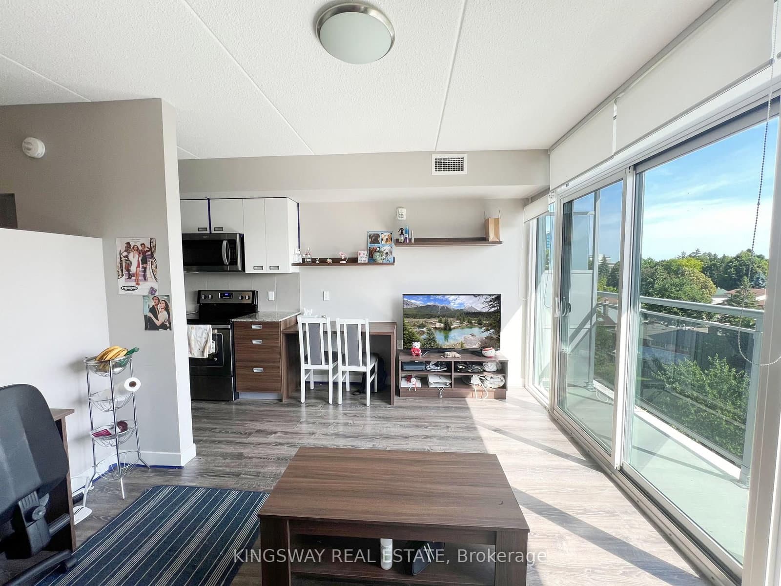 308 Lester Street, Unit 528