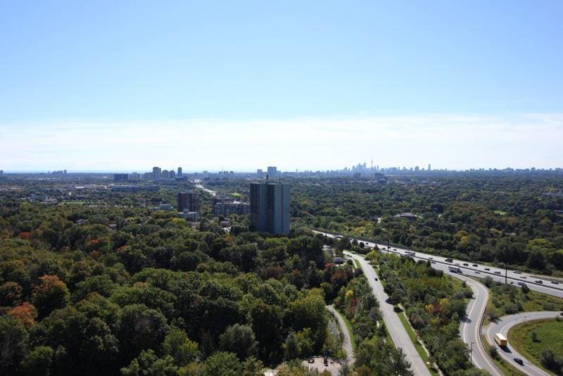 The Ravine - Image 13