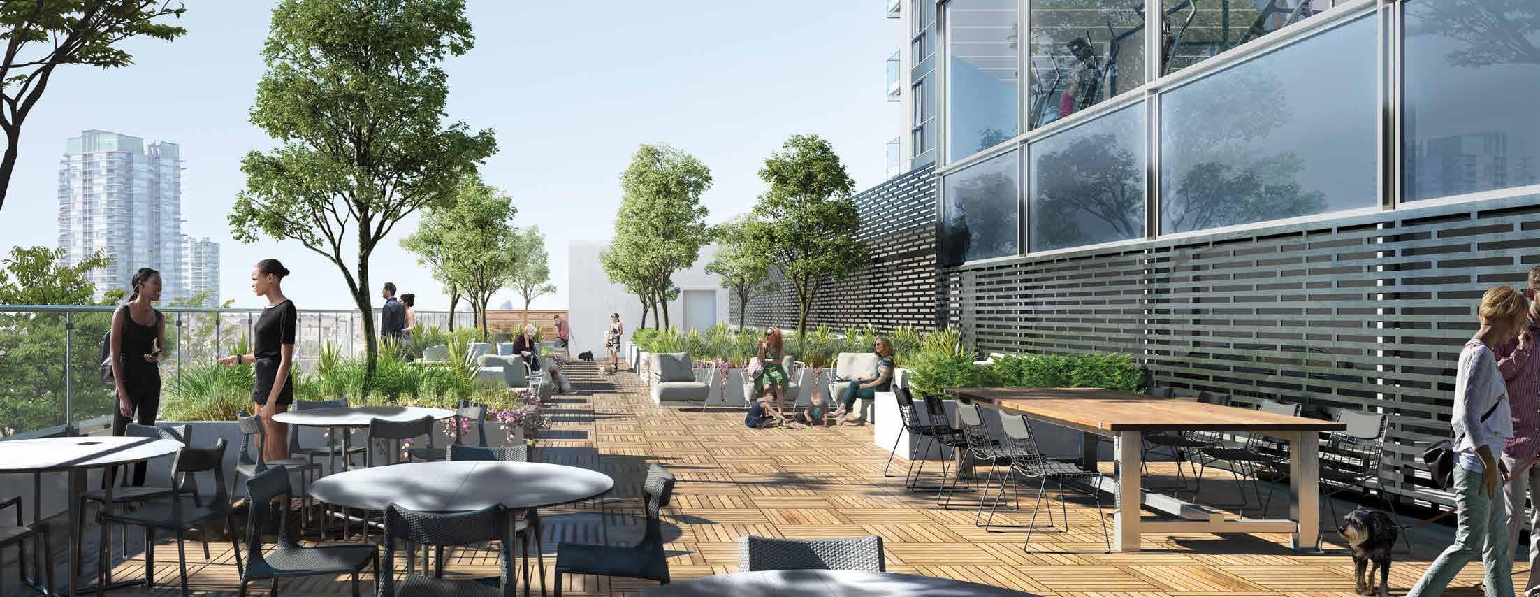 DTK Condos - Image 6