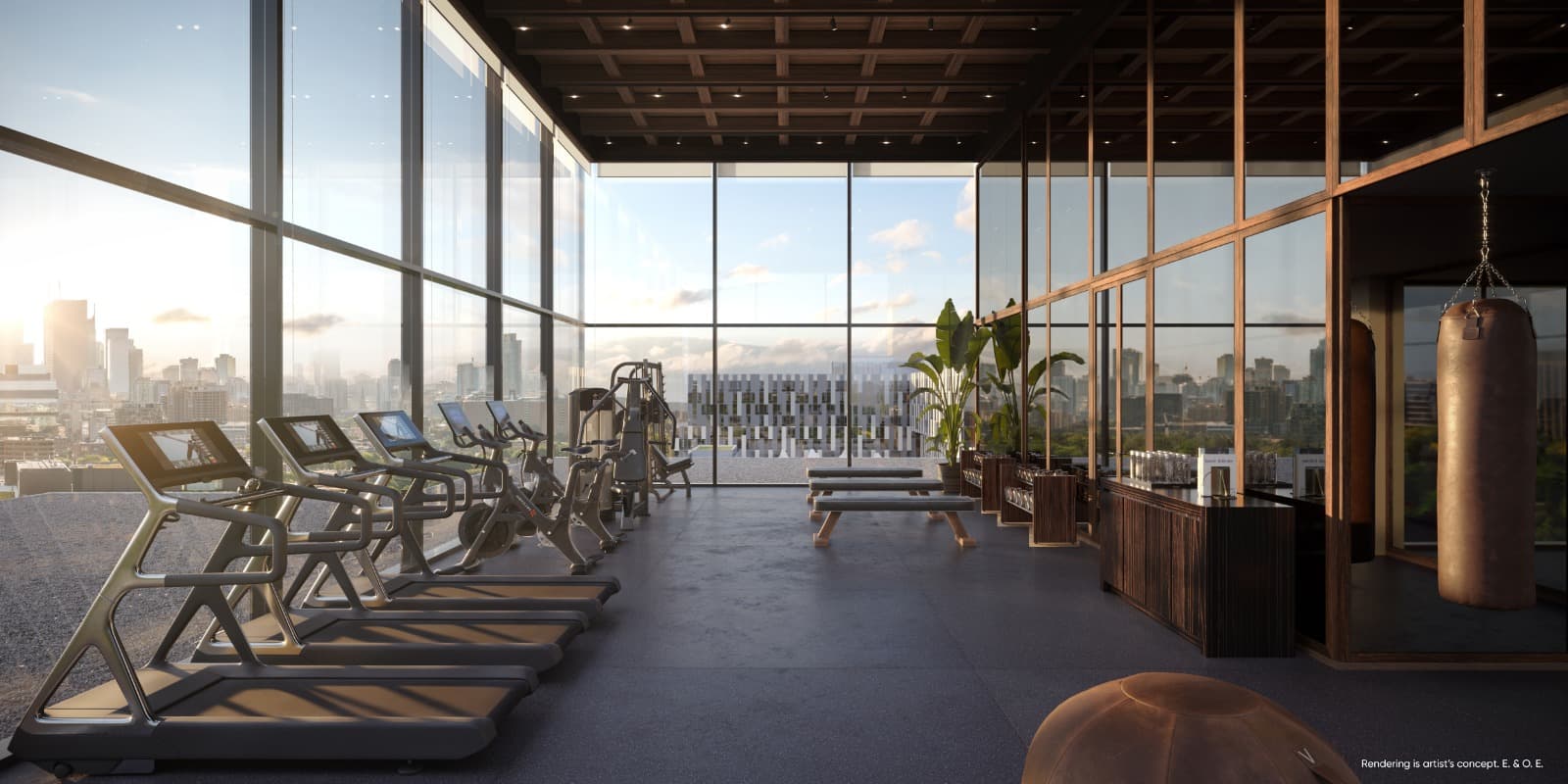 Canary House Condos - Image 7