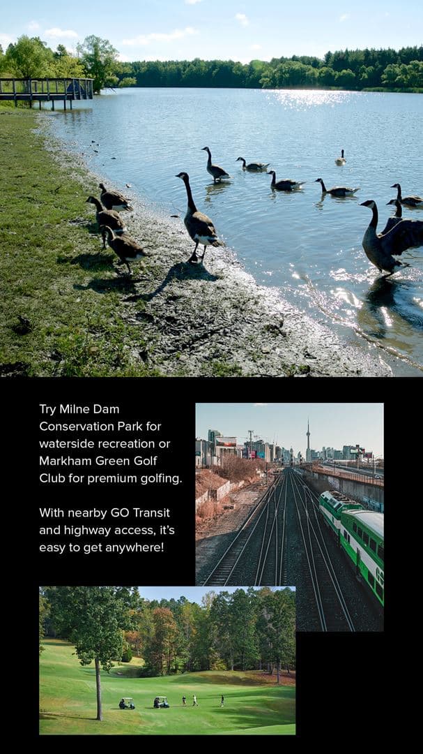 The Markdale Towns - Image 3