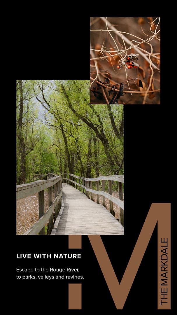 The Markdale Towns - Image 4