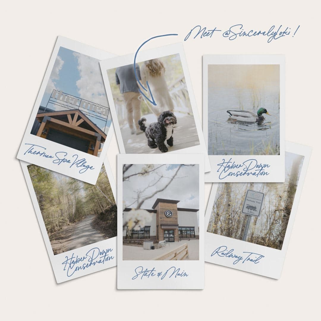 Sincerely, Acorn Towns - Image 6