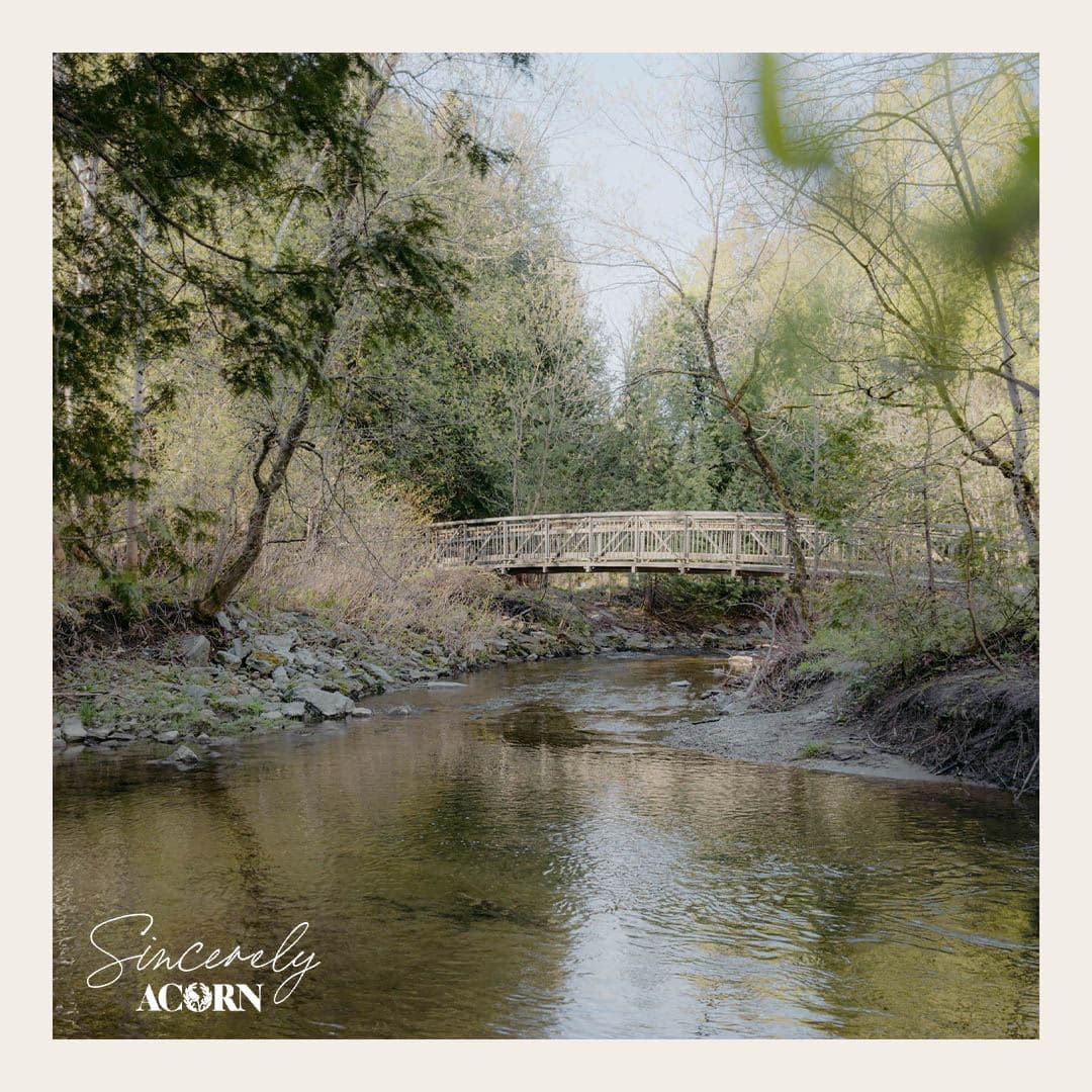 Sincerely, Acorn Towns - Image 9