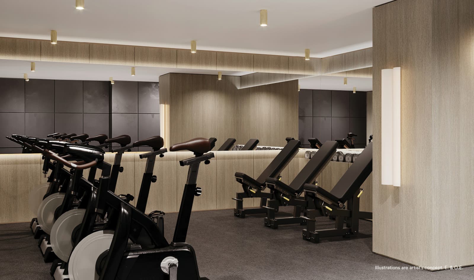 Junction Square Condos - Image 7