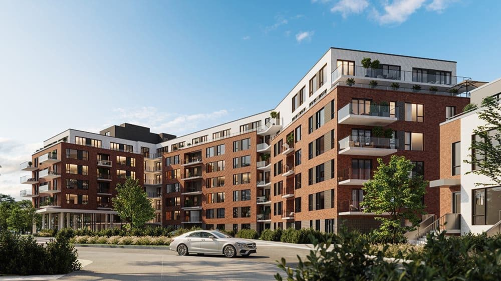 Dalia Condos - Image 3