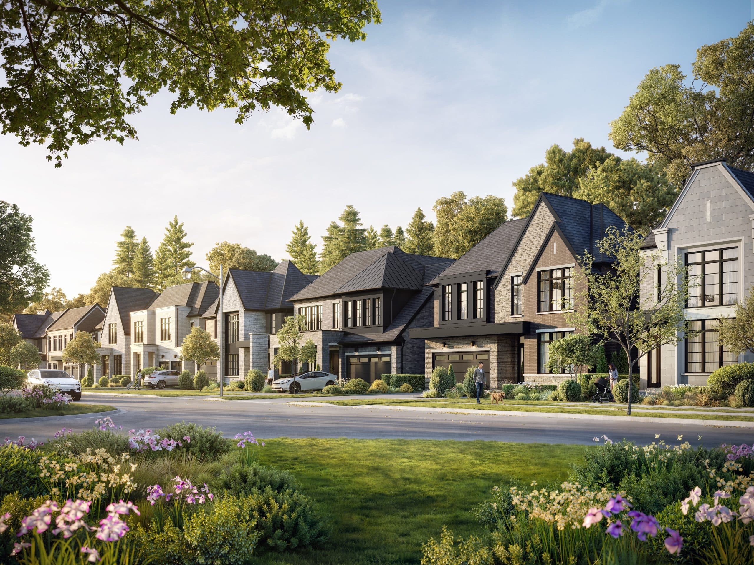 Iris by Acorn - Image 3